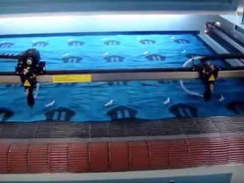 Auto Feeding Fabric Laser Cutting Machine with Dual Heads