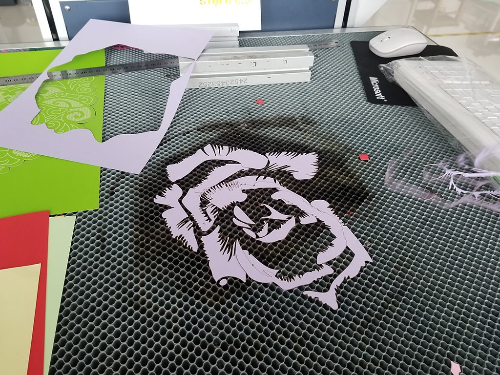 Laser Cutting 3D Cardstock Paper Crafts