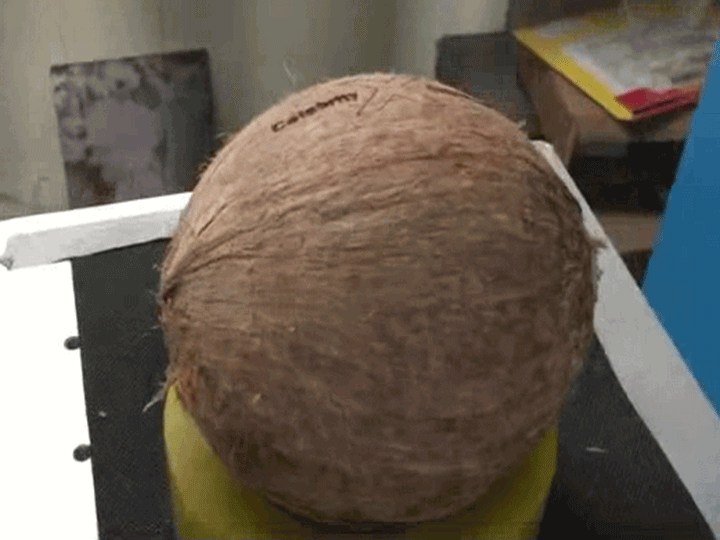Fresh Coconut Laser Engraving and Marking Machine