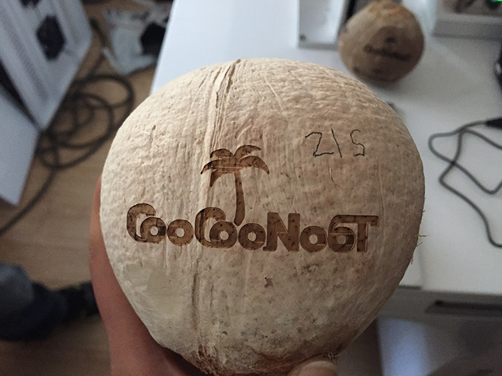 Affordable CO2 Laser Fruit Marking Machine for Coconut
