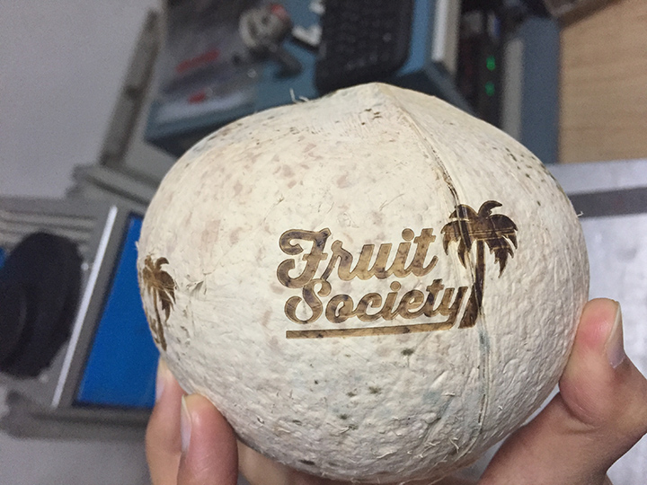 Coconut laser engraving projects