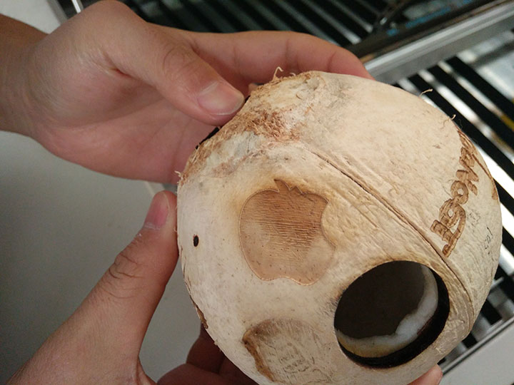 CO2 Laser Cutter for Coconut Shell Engraving and Cutting