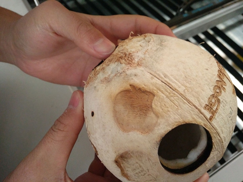 CO2 Laser Cutter for Coconut Shell Engraving and Cutting