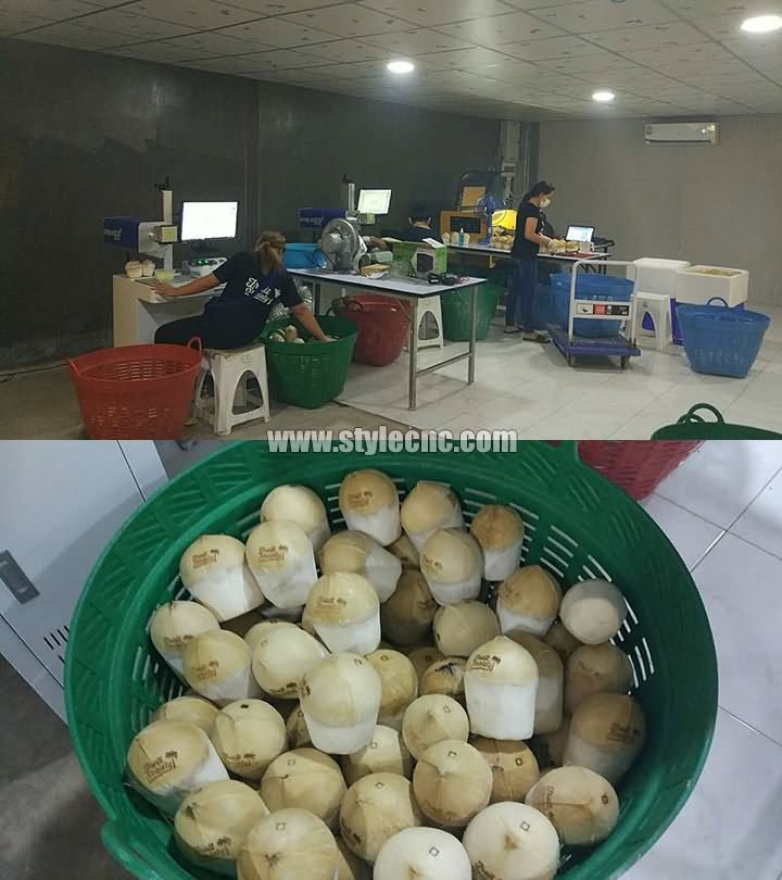 Thailand coconut laser engraving machine