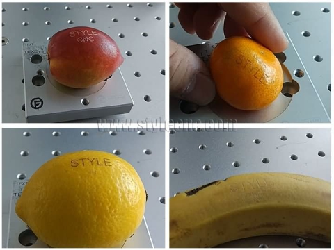 CO2 Laser Fruit Marking Machine DIY Custom Logos & Signs