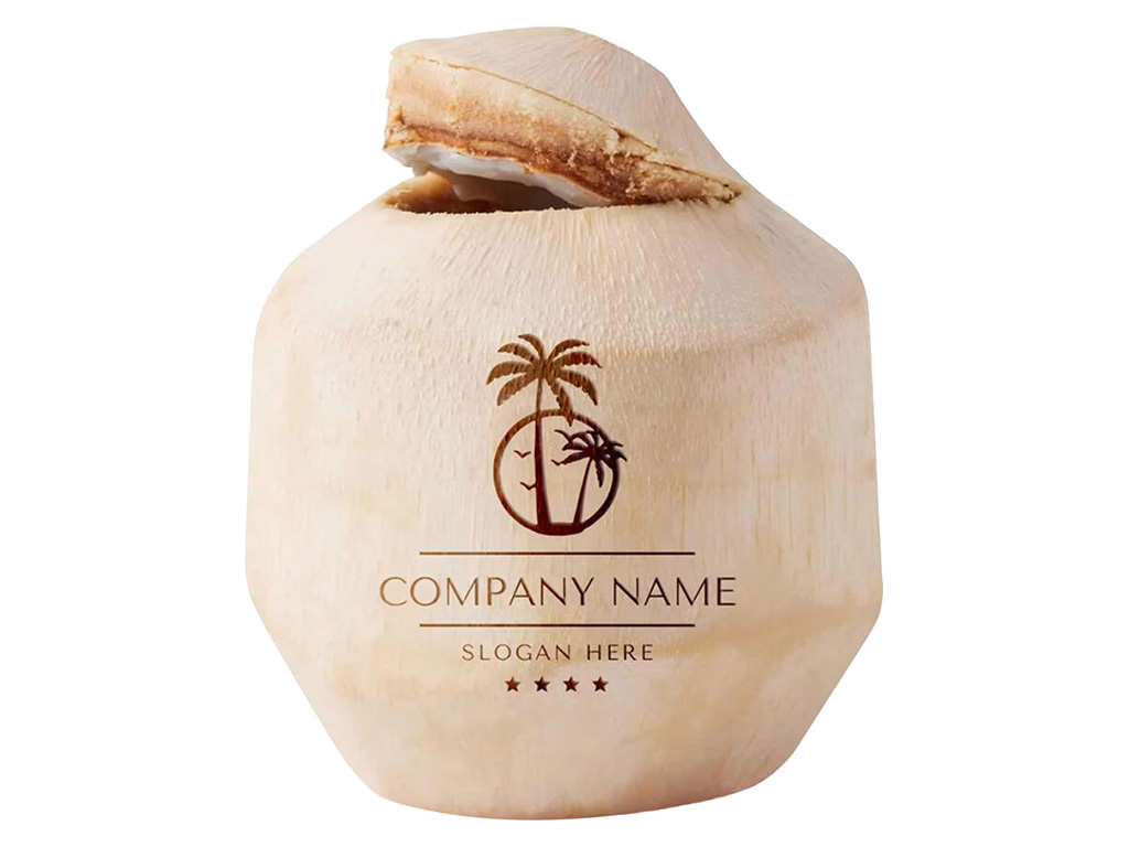 CO2 Laser Marking Machine DIY Custom Logo on Fresh Coconut