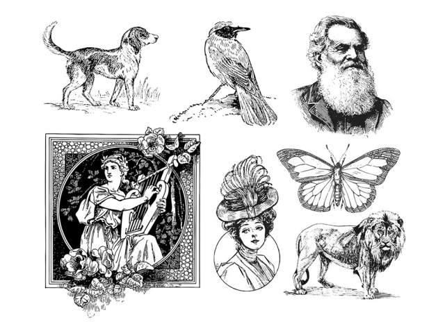 Free 2D/3D Laser Engraving Vector Files for Laser Etcher