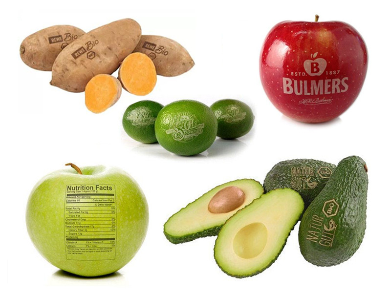 Affordable CO2 Laser Fruit Marking Machine for Coconut