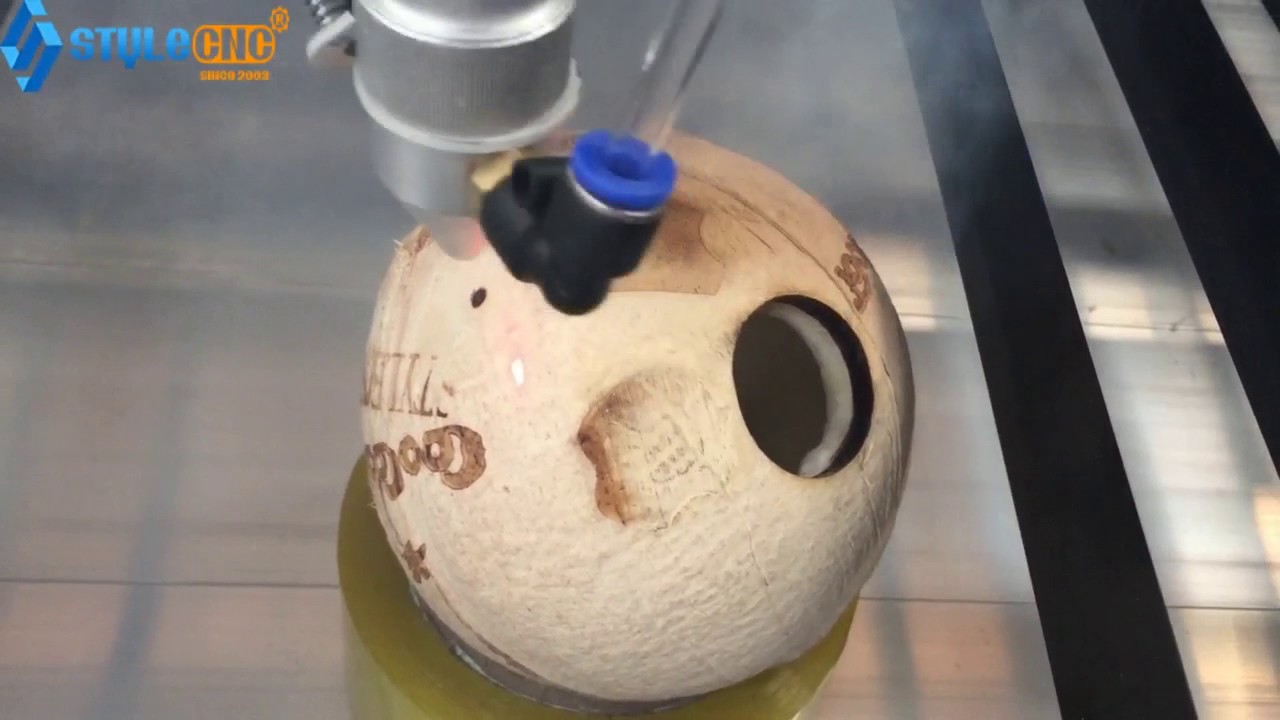 CO2 Laser Cutter for Coconut Shell Engraving and Cutting