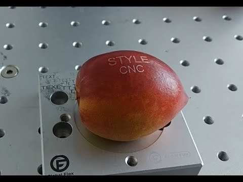 CO2 Laser Fruit Marking Machine DIY Custom Logos & Signs