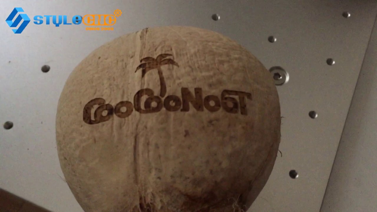 Affordable CO2 Laser Fruit Marking Machine for Coconut Affordable CO2 Laser Fruit Marking Machine for Coconut
