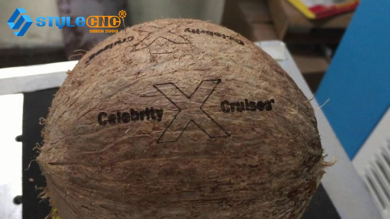 Fresh Coconut Laser Engraving and Marking Machine Fresh Coconut Laser Engraving and Marking Machine